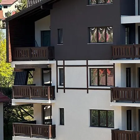 The View Studio Busteni Exterior photo